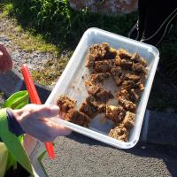 petit ravito a l'etoile