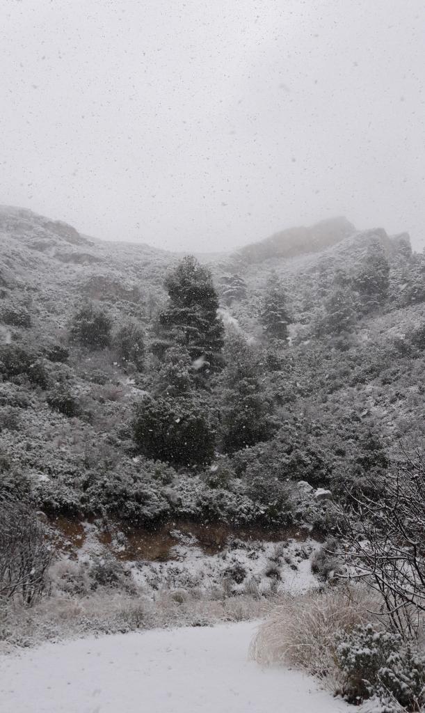 Neige a la barrase 2/12/2017