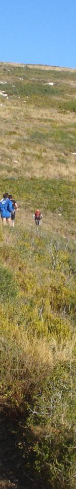 vers galvaudan 1ere recco