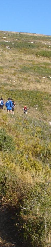 vers galvaudan 1ere recco