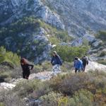 sortie 1 janvier 2008