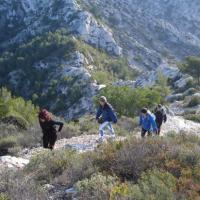 sortie 1 janvier 2008