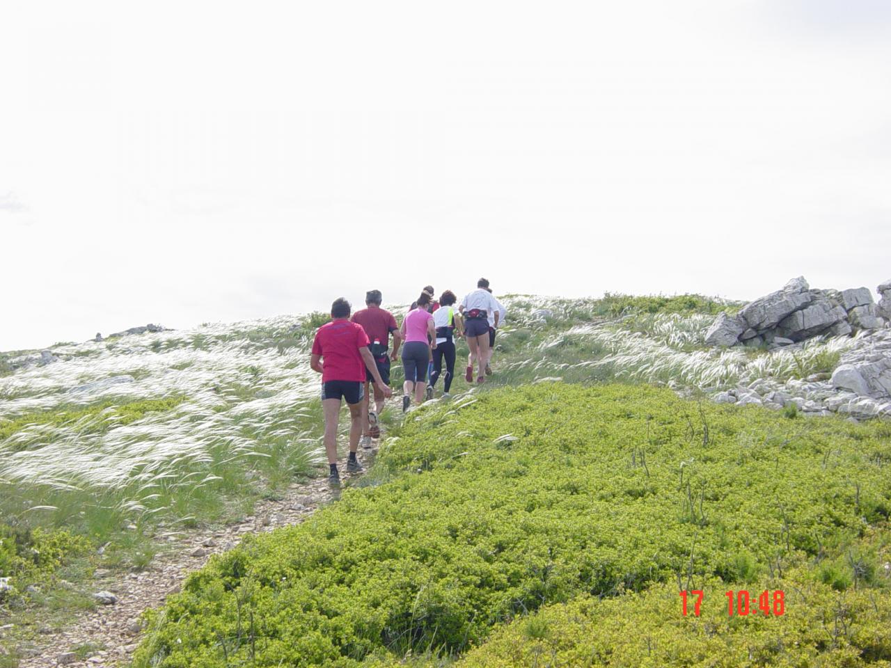 en direction du Mt CARPIAGNE