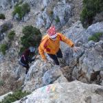 sortie 1 janvier 2008