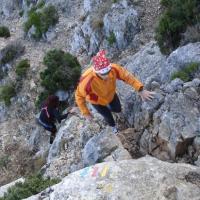 sortie 1 janvier 2008