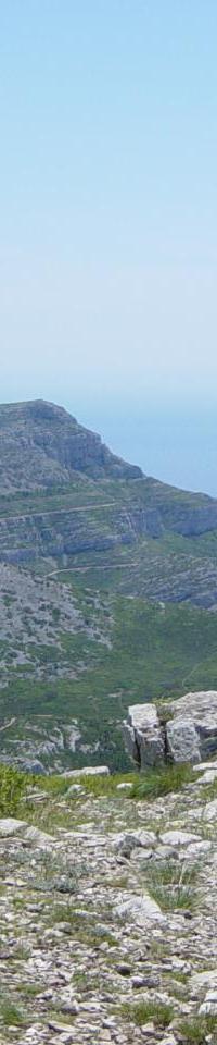 Vue vers La Gineste