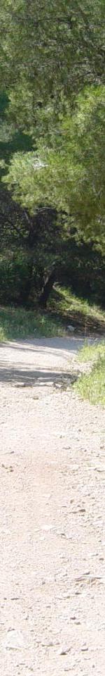 site d'arrivée(3) dernier virage