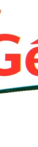 LOGO GEANT