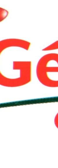 LOGO GEANT