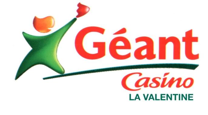 LOGO GEANT