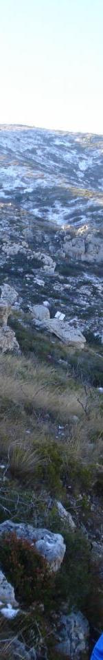 ALPES ou Mt Carpiagne 2éme recco