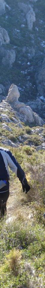 DESCENTE VERS COL SABATIER