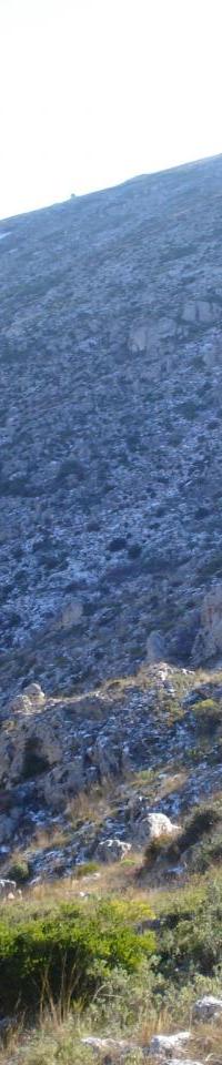 neige sur mt carpiagne 2éme recco