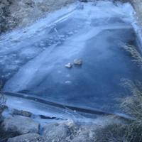 Où sont les canards ?