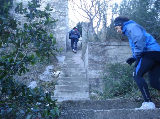 LES FAMEUX ESCALIERS DU Trail des Eaux Vives