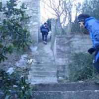 LES FAMEUX ESCALIERS DU Trail des Eaux Vives