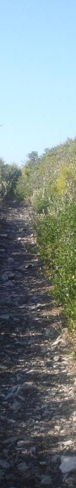 monotrace vers la vigie