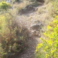 monotrace (2)