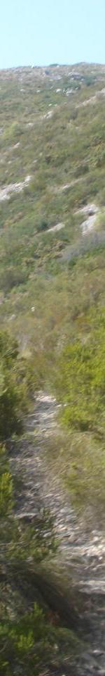 monotrace vers la source