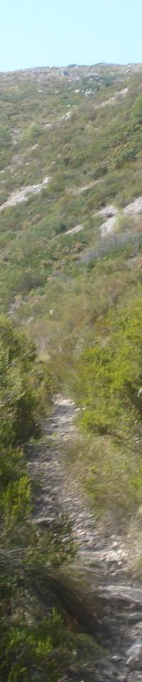 monotrace vers la source