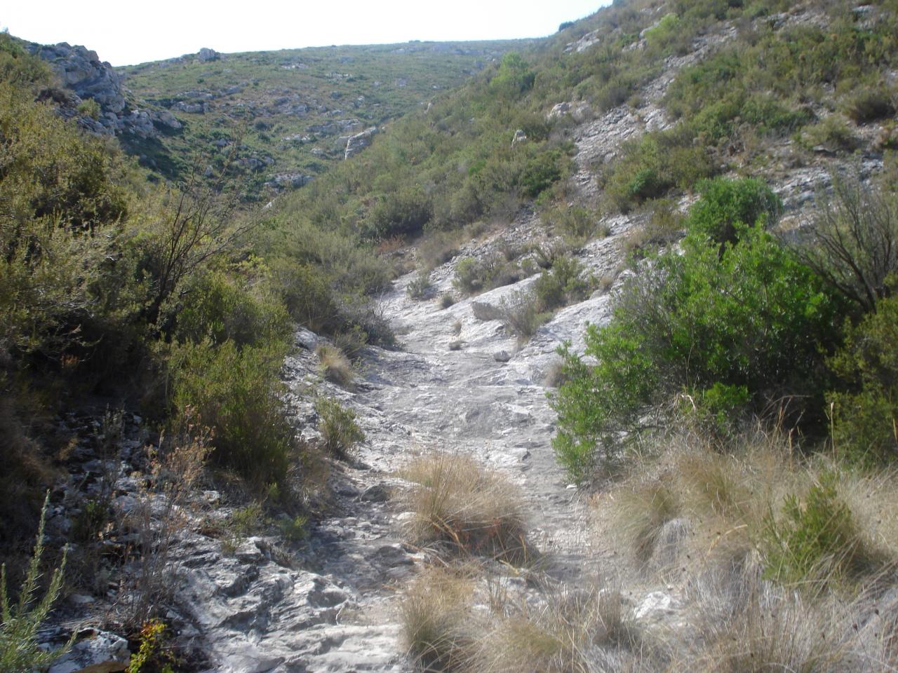 vallon de la barasse