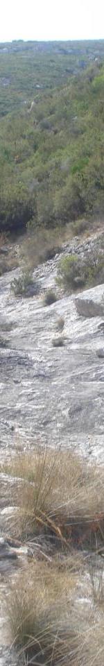 vallon de la barasse