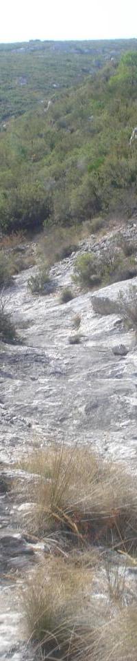 vallon de la barasse