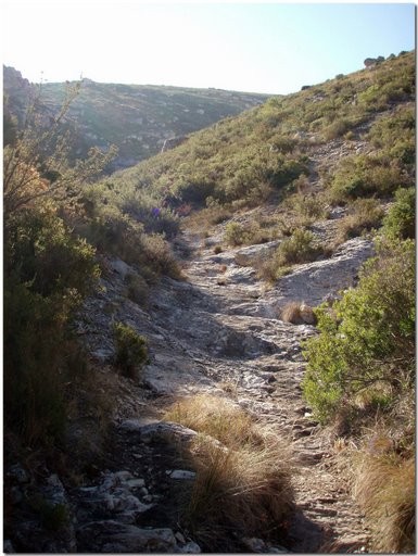 vallon de la barasse