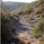 vallon de la barasse