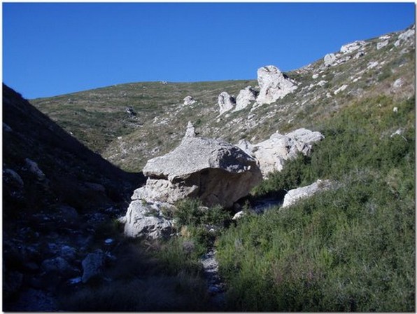 vallon de la barasse