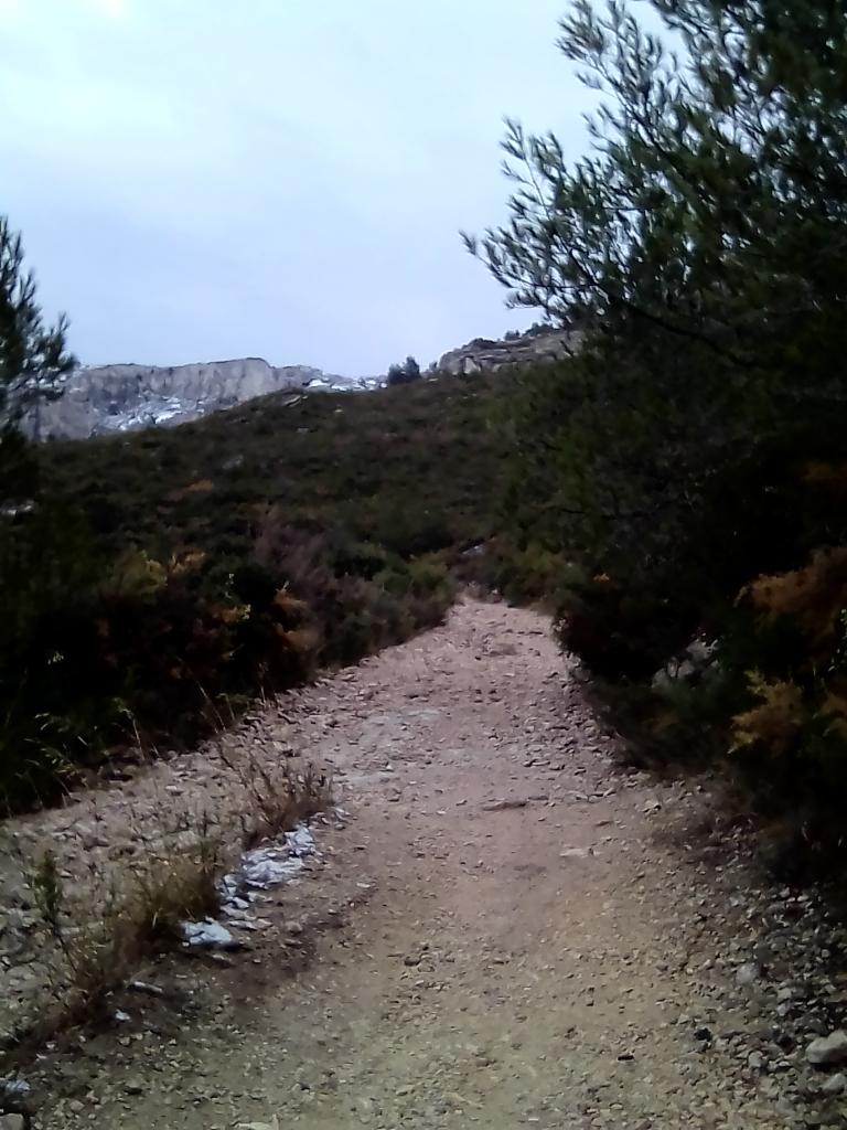 Neige à la Barasse