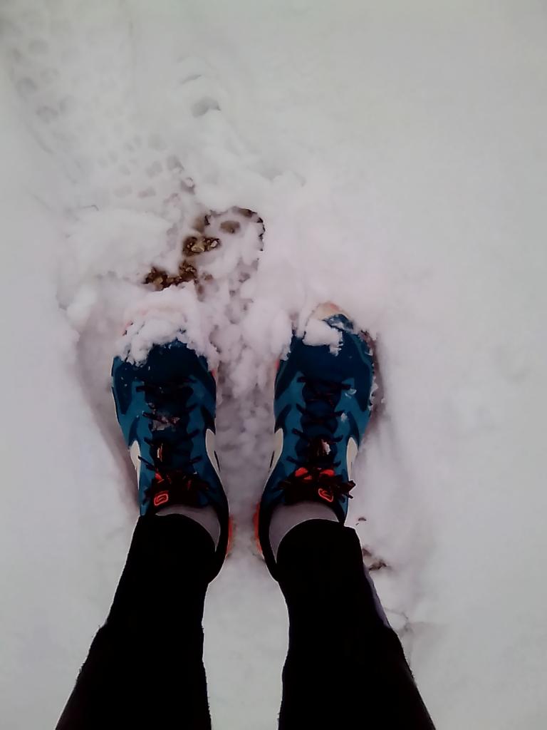 Neige à la Barasse